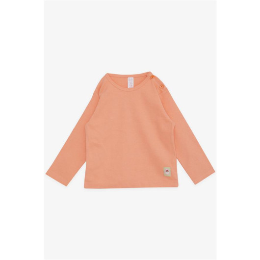 Baby Girl Long Sleeve T-Shirt Patchwork Teddy Bear Printed Salmon (9 Months-3 Years)
