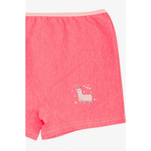 Girl's Boxer Lamb Printed Neon Pink (5-11 Years)