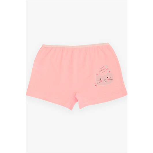Girl's Boxer Curious Kitten Printed Pink (5-11 Years)