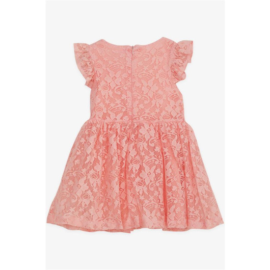 Girl Child Dress Bowtie Tulle Guipure Salmon (3-8 Ages)