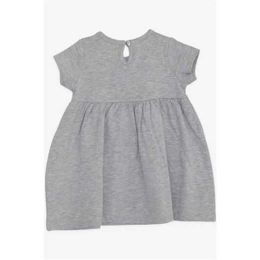 Girls' Gray Short Sleeve Embroidered Dress (1.5-5 Years)
