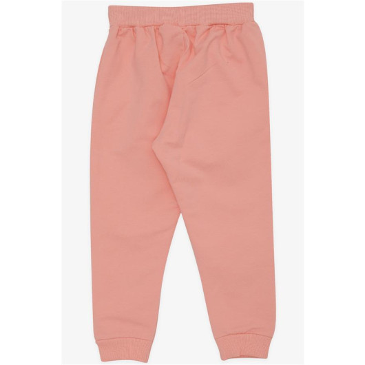 Girl's Sweatpants Cute Teddy Bear Embroidered Salmon (1-4 Years)