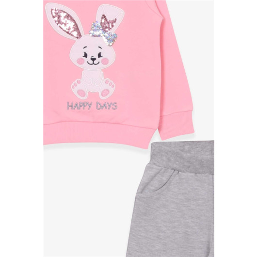 Girl's Tracksuit Set Rabbit Embroidered Powder (1-4 Years)