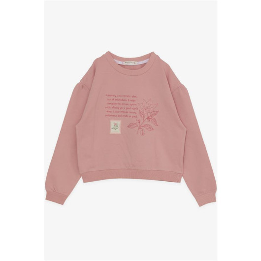 Girl's Tracksuit Set, Text Printed, Dried Rose (Ages 6-12)