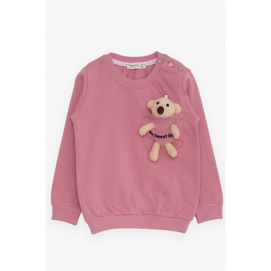 Girl's Sweatshirt With Teddy Bear Accessories, Dry Rose (1.5-5 Years)
