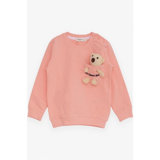 Girl's Sweatshirt With Teddy Bear Accessory Salmon (1.5-5 Years)