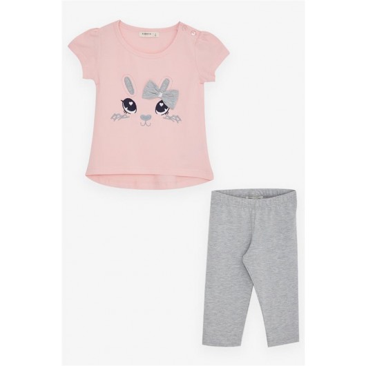 Girls Pink Rabbit Embroidered Leggings And T-Shirt Set (1-4 Years)