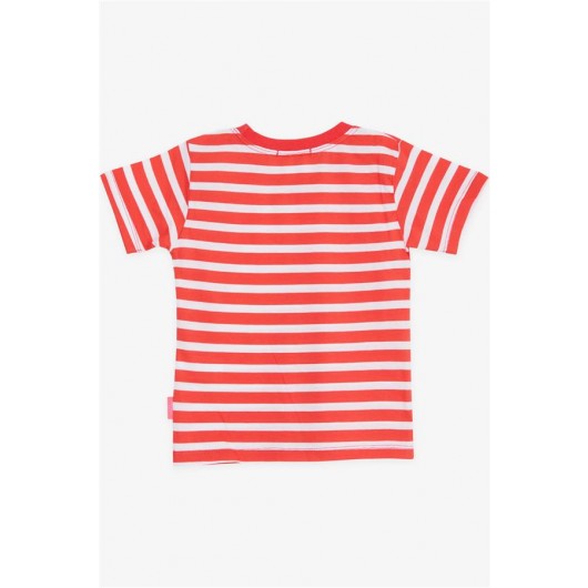 Girl's T-Shirt Striped Sunflower (3-7 Years)
