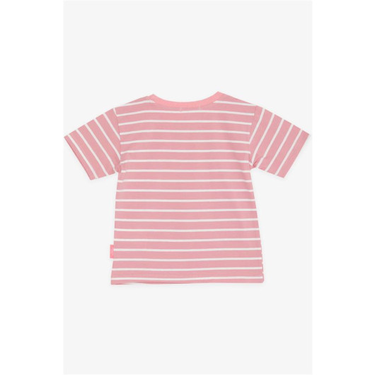 Girl's T-Shirt T-Shirt Striped Pink (3-7 Years)