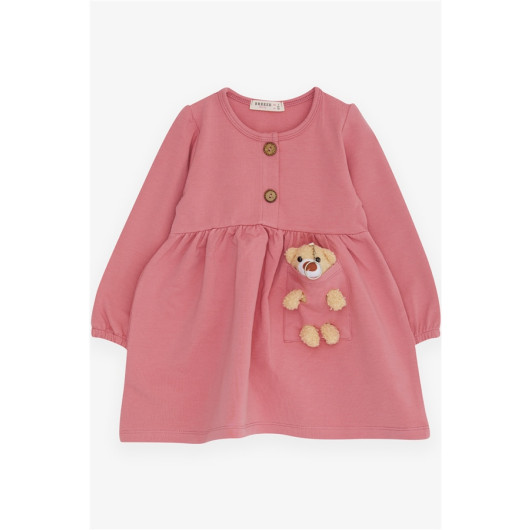 Girl's Long Sleeve Dress With Teddy Bear Accessories, Dry Rose (2-6 Years)