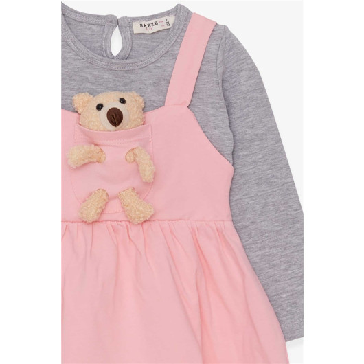 Girl Long Sleeve Dress With Teddy Bear Accessories Powder (2-6 Years)
