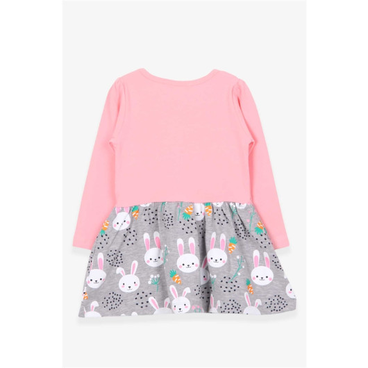 Girl Long Sleeve Dress With Bow Bunny Pattern Powder (2 Years)
