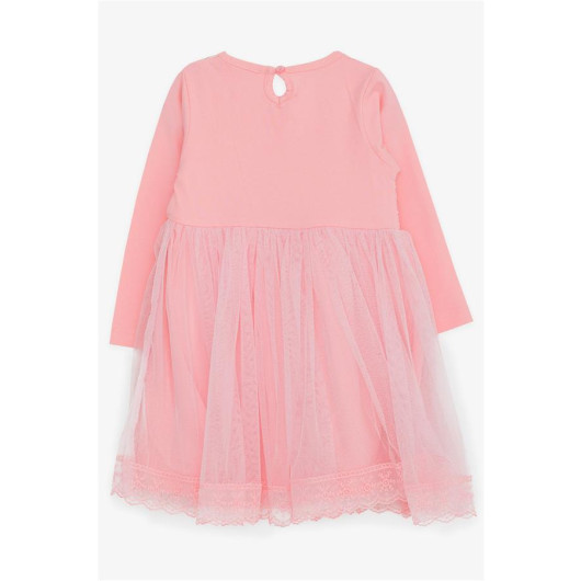 Girl Long Sleeve Dress With Bow Tulle Pink (3-8 Ages)