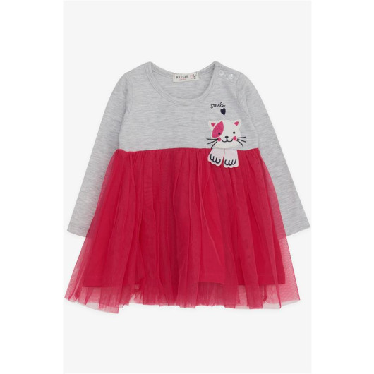 Girls' Long Sleeves Embroidered Cat Dress, Gray And Fuchsia (1.5-5 Years)
