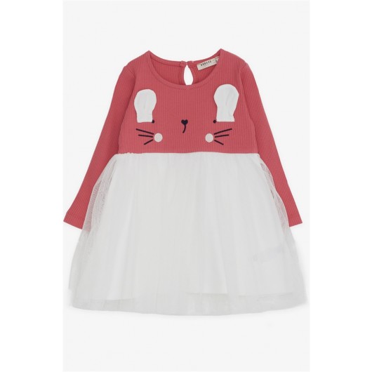 Girl Long Sleeve Dress With Cat Embroidery Tile (1.5-5 Years)