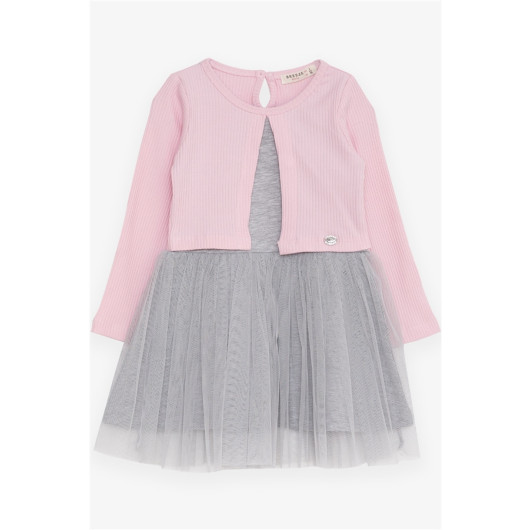 Girl Long Sleeve Dress Tulle Pink (3-6 Years)