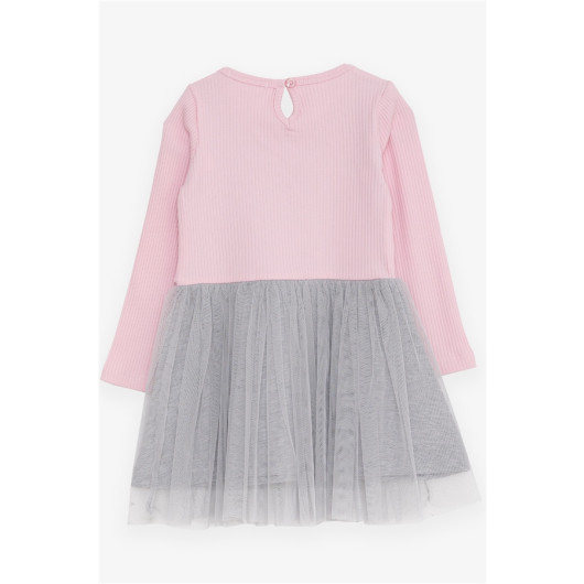Girl Long Sleeve Dress Tulle Pink (3-6 Years)