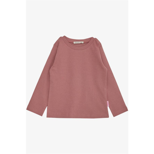 Girl's Long Sleeve T-Shirt Basic Dried Rose (Age 1-4)
