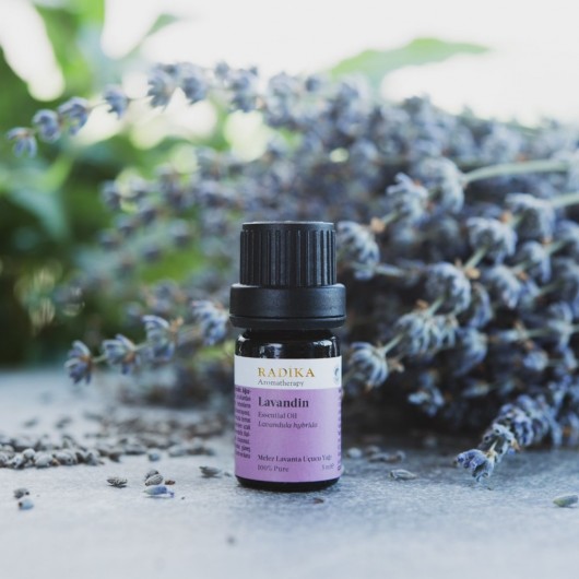 Hybrid Lavender Essential Oil