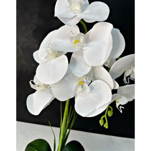 Decor With A Large White Orchid Arrangement In A Silver Ball Vase