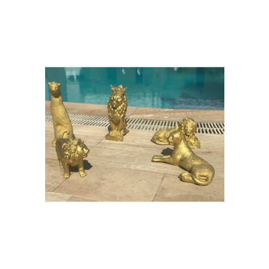 مجموعة قطع فنية ديكور 5 قطع ذهبية متنوعة