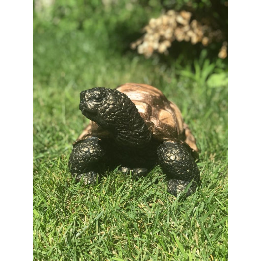 Decorative Cute Turtle Garden Statue