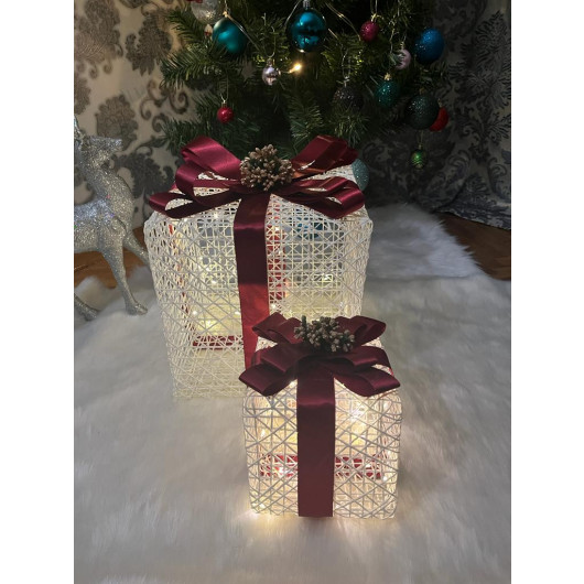 Decorative Tree With Six Led Lights Gift Box Set Of 2