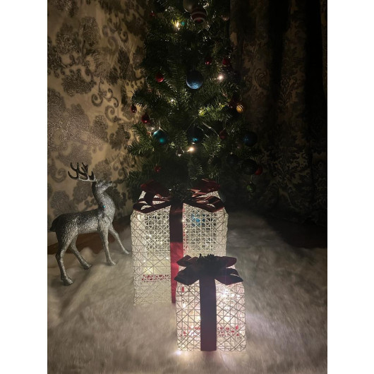 Decorative Tree With Six Led Lights Gift Box Set Of 2