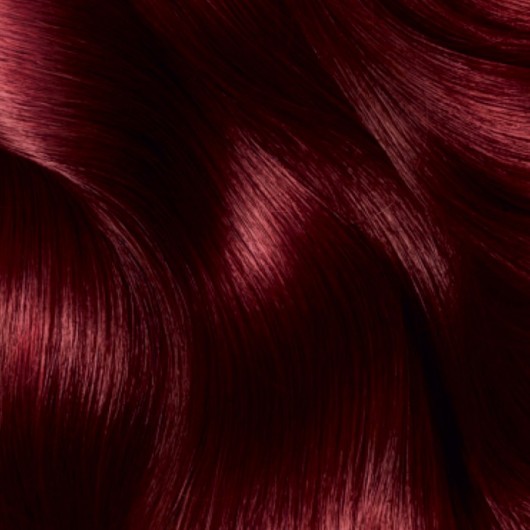 Garnier Color Natural Hair Color 4.60 Intense Dark Red