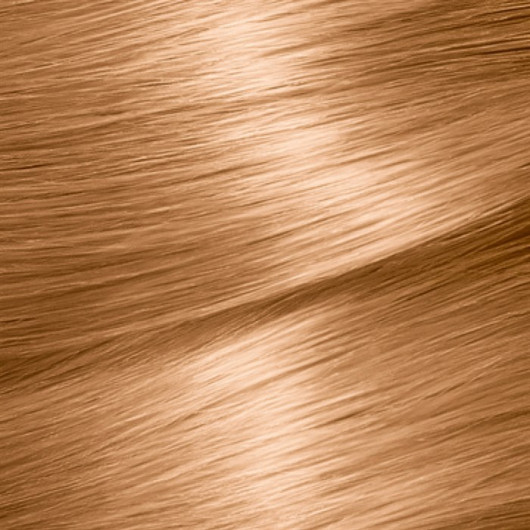 Garnier Color Naturals 7.3 Hazelnut Shell Hair Dye