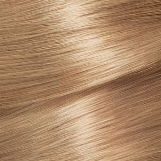 Garnier Color Naturals Hair Color 8.0 Dark Blonde