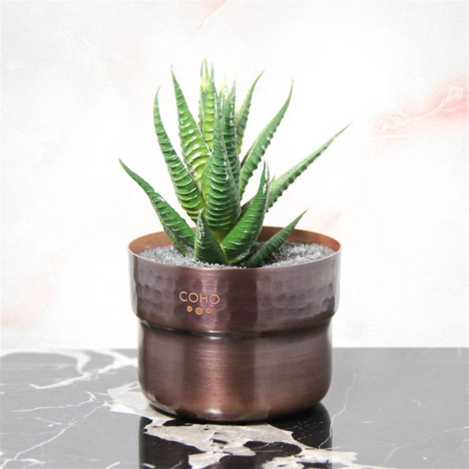 Coho Antique Prime Succulent Copper Flowerpot