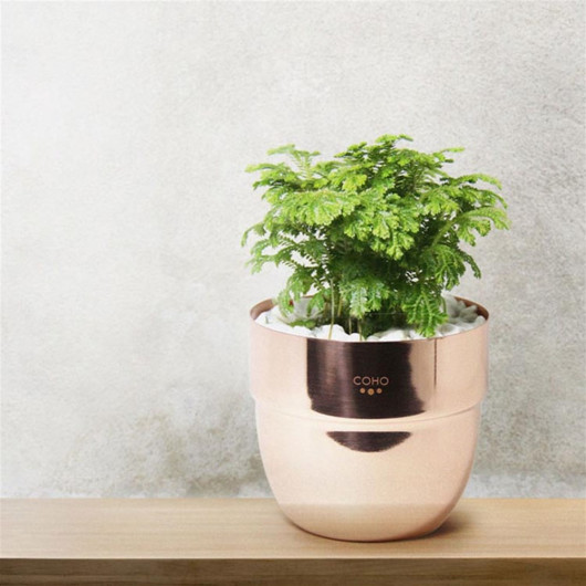 Coho Artisan I Want You Copper Flowerpot