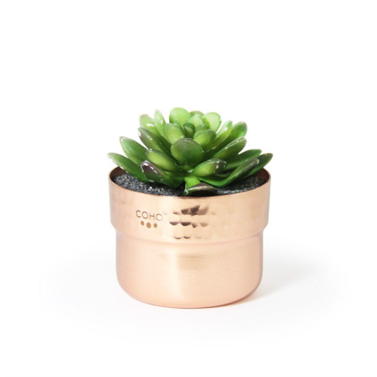 Coho Artisan Prime Succulent Copper Flowerpot