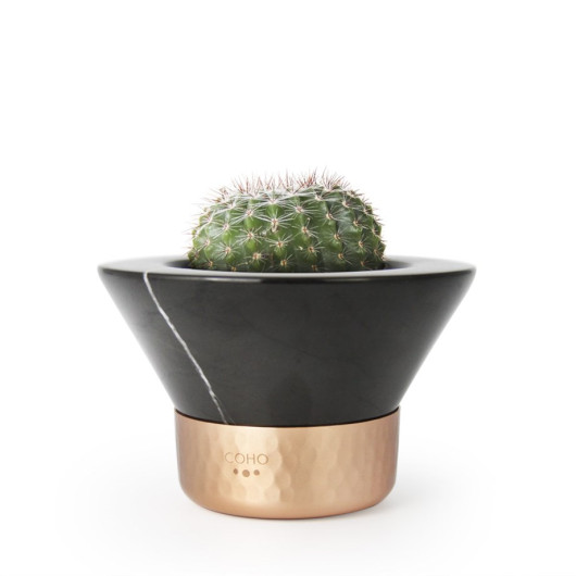Coho Magma Inn Marble Cactus Flower Pot With Copper Slot