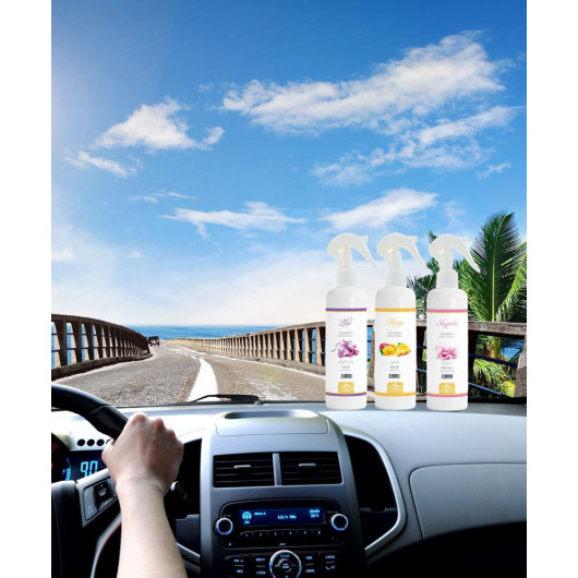 Latte Coffee Scent Car Air Freshener Spray Vehicle Room 400 Ml Permanent