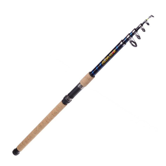 Albastar Celtic 3.00M Fishing Pole 100-300Gr