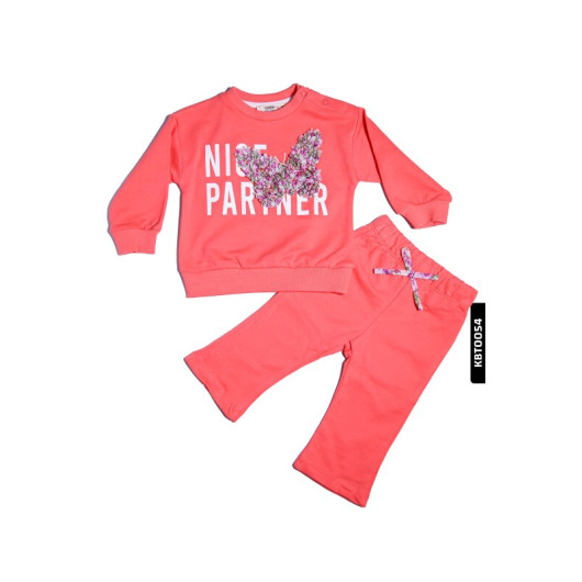Baby Girl Butterfly Embroidered Tracksuit Set 6 To 24 Months