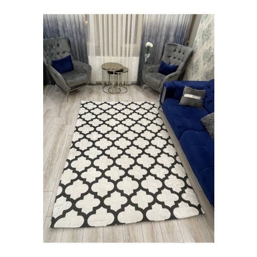 Gray Plush Carpet Cover With Black Trim