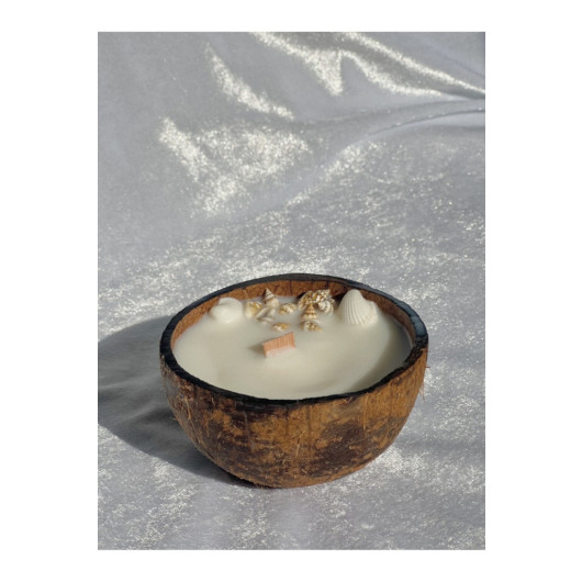 Organic Real Coconut Ocean Scented Candle Seashell Gift