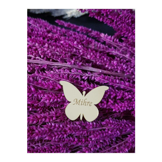 Plexiglass Butterfly Label Named 25 Pieces