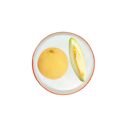 Freeze Dried Melon Slices 20G