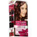 Garnier Striking Colors 4/15 - Frosted Chestnut Hair Color