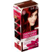 Garnier Striking Colors 4/60 - Intense Dark Red Hair Color