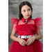 Girls Dress With Collar, Bodice And Red Tulle Sleeves