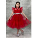 Girls Dress With Collar, Bodice And Red Tulle Sleeves