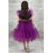 Girls Dress With Collar, Bodice And Purple Tulle Sleeves