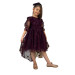 Girls Burgundy Dress With Transparent Butterfly Pattern