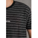 Reguler Fit Cycling Collar Lycra Striped Men's Summer T-Shirt