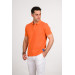 Stone Wash Regular Fit Lacost Fabric Polo Collar Cotton Men's T-Shirt